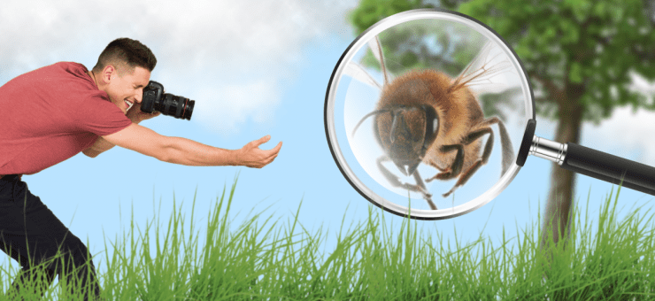 5 tips for better close-up photography