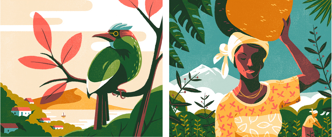 digital illustration tom haugomat